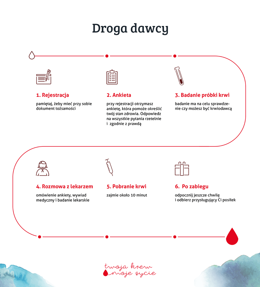 infografika_droga.png